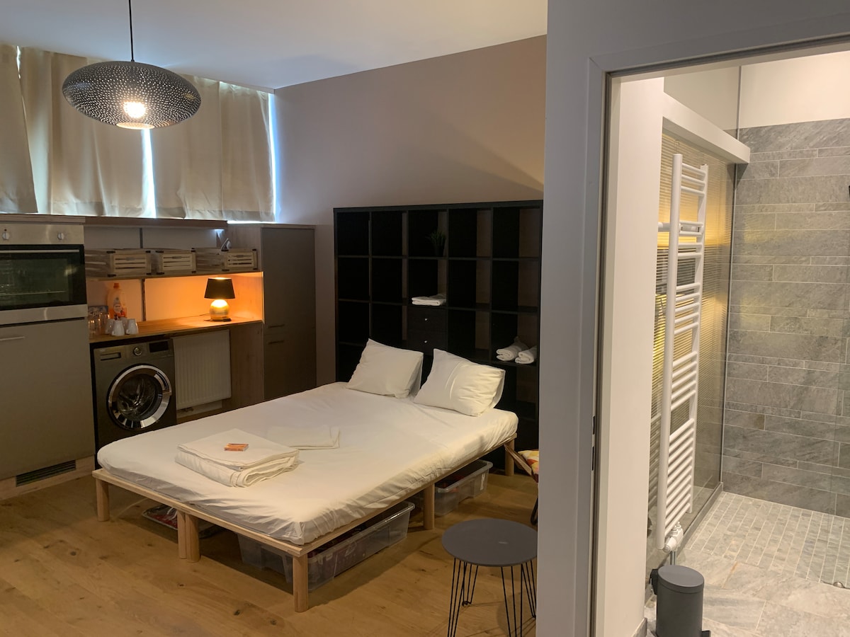 A spacious apartment is highlighted, featuring a raised bed with fresh linens. An open kitchen area is evident, along with a cozy seating spot beside a small table. A modern, tiled shower area is visible through an adjacent doorway, enhancing the apartment's functionality.