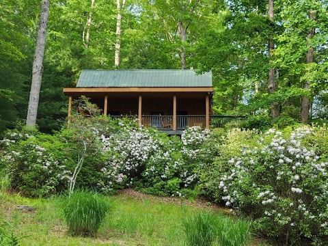 A BEARY RELAXING Cabin