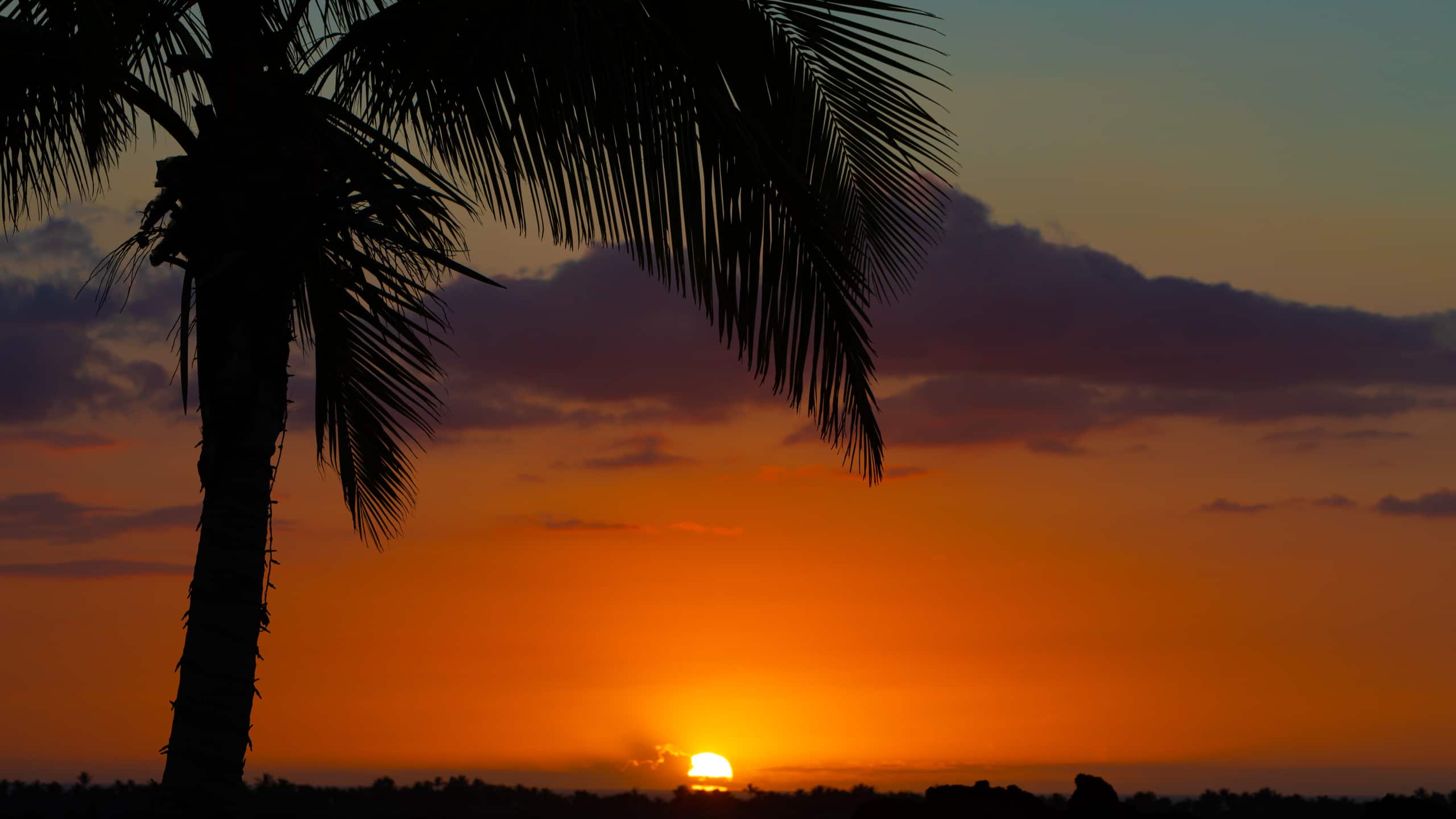 PiH Sunset Breeze - Free Hilton Pool Passes - Photo 59