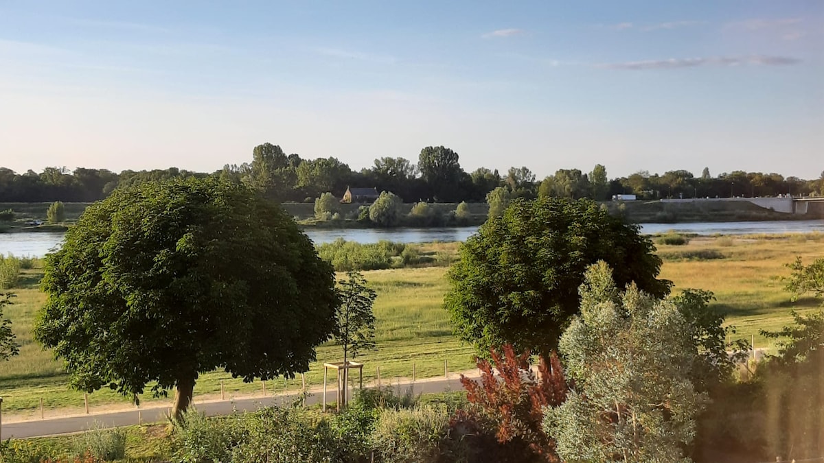 A serene view of the Loire River features lush green trees on the banks, with distant rolling hills visible under a clear sky. The vibrant nature complements the calm water, enhancing the tranquil landscape.