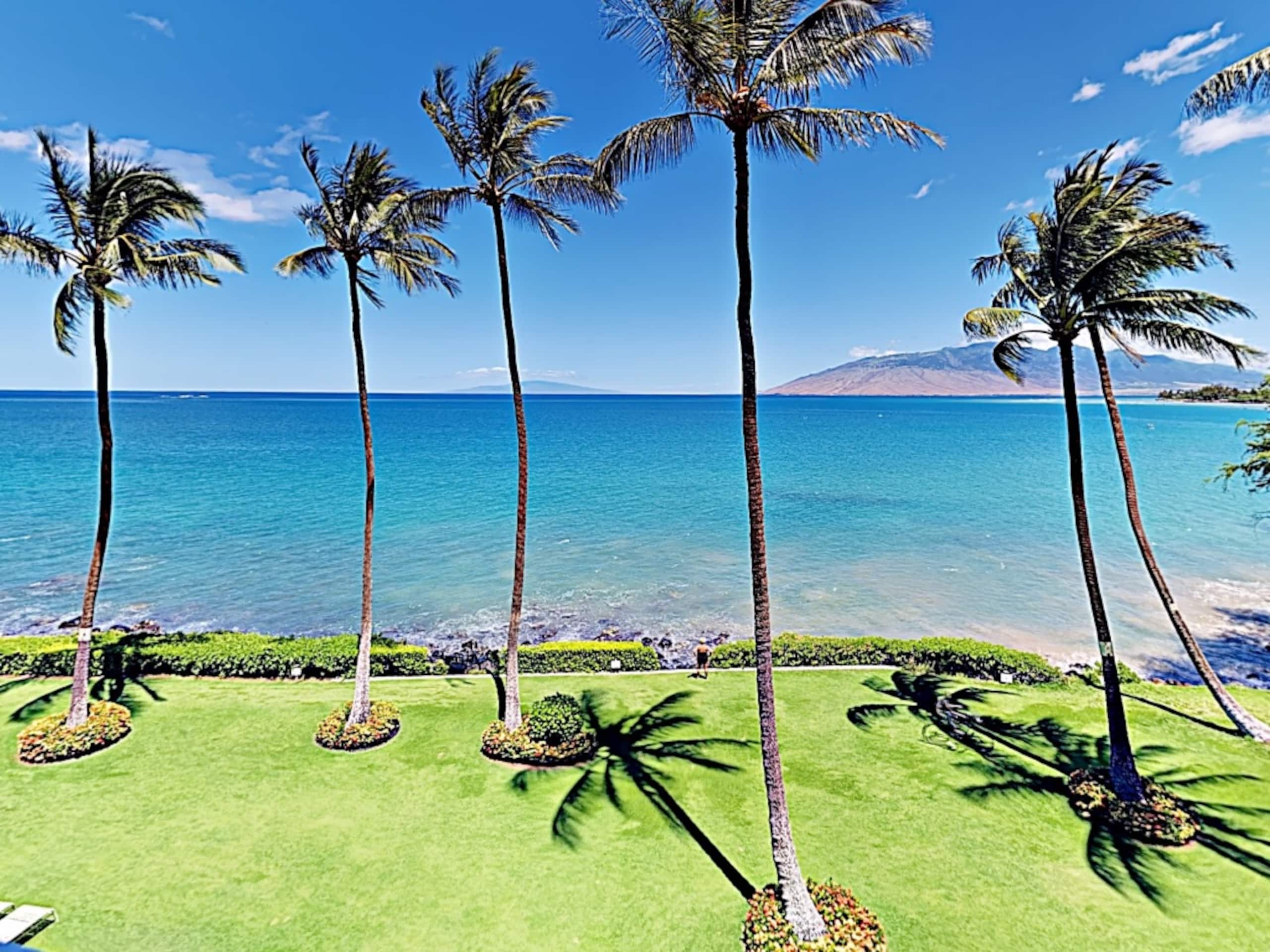 Condo in Kihei · ★4.88 · 3 bedrooms · 4 beds · 2 private baths - Image 33