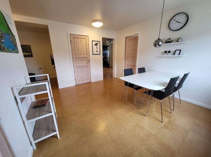 Bright and wonderful apartment in quiet neighborhood Condominiums for