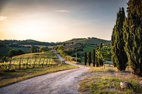 Tenuta privata tra le vigne