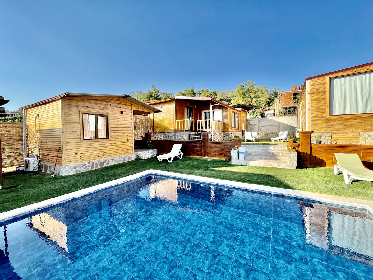 A serene scene showcases the bungalows set within a lush garden, with a clear blue pool reflecting the sky. Sun loungers are positioned by the poolside, and the wooden bungalows feature large windows, allowing for natural light to fill the interiors.