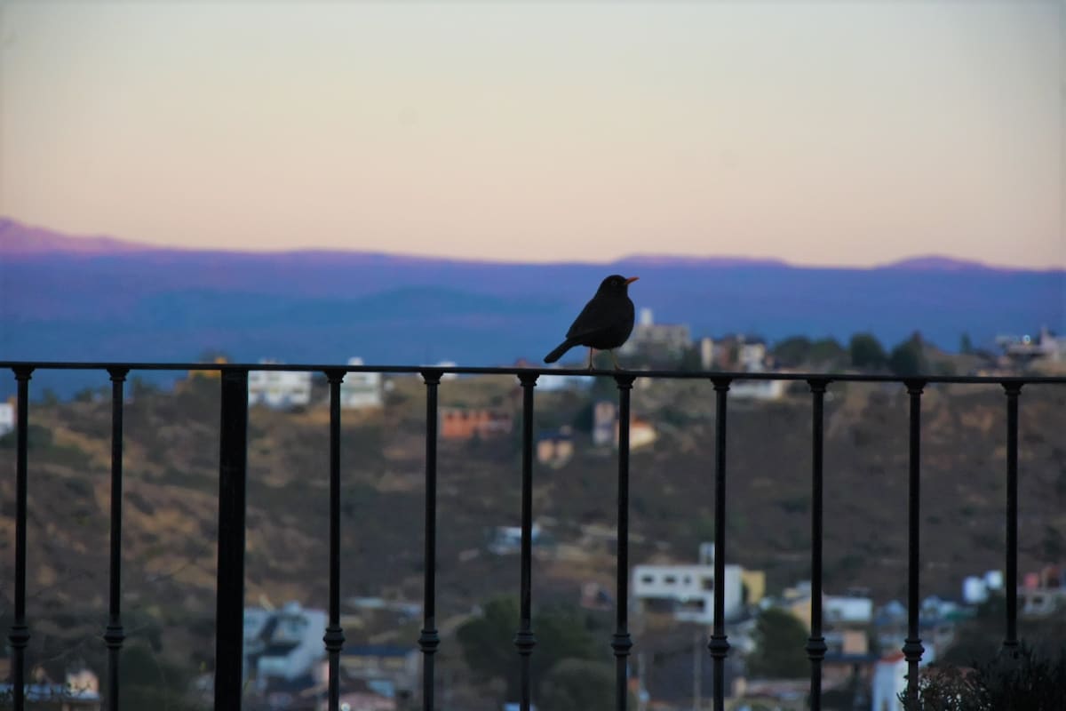 A silhouette of a bird is perched on a black railing, overlooking a vast mountainous landscape. The distant hills are bathed in soft hues, transitioning to a serene evening sky, while scattered residential buildings can be seen in the foreground.