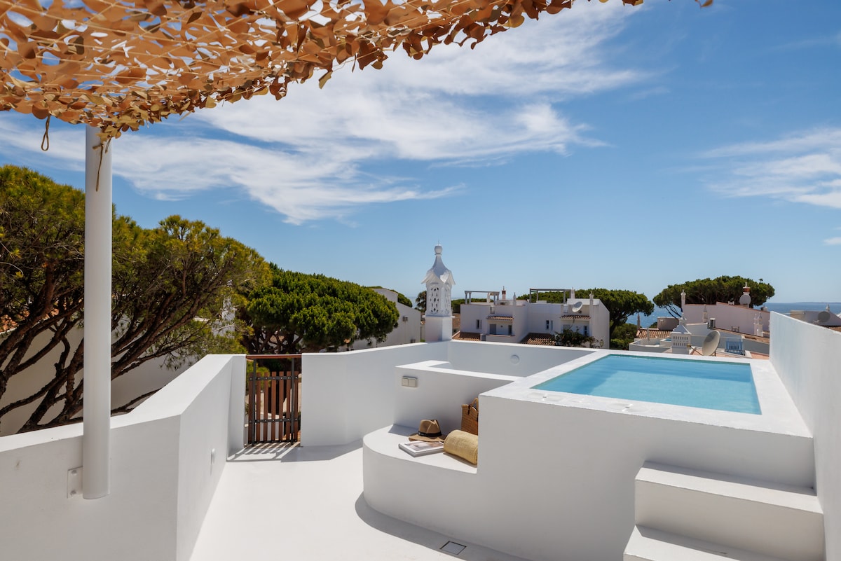 A bright outdoor terrace is visible, featuring a small salt-water pool and white, minimalist walls. A shaded area is created by a wooden canopy, providing a serene spot for relaxation. Lush greenery surrounds the space, enhancing the view of the blue sky.