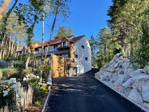 Luxury villa "Les Hauts Pins" – pine forest view