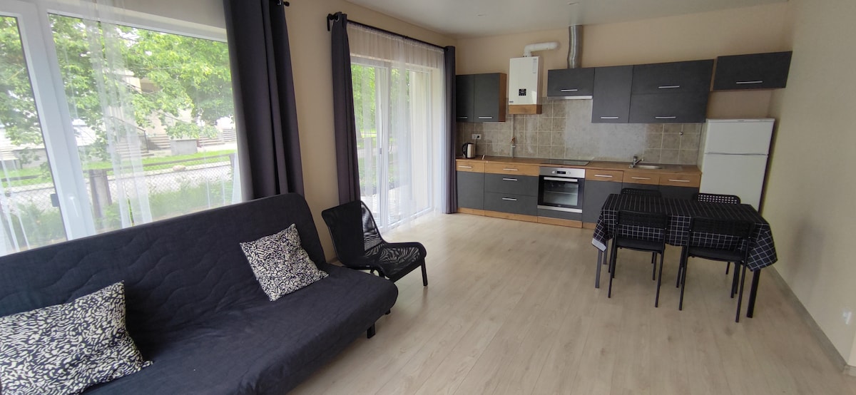 A spacious living area features a convertible sofa and two accent chairs, complemented by a dining table set for four. The kitchen area is equipped with modern appliances, including an oven and refrigerator. Large windows allow natural light to illuminate the warm interior.
