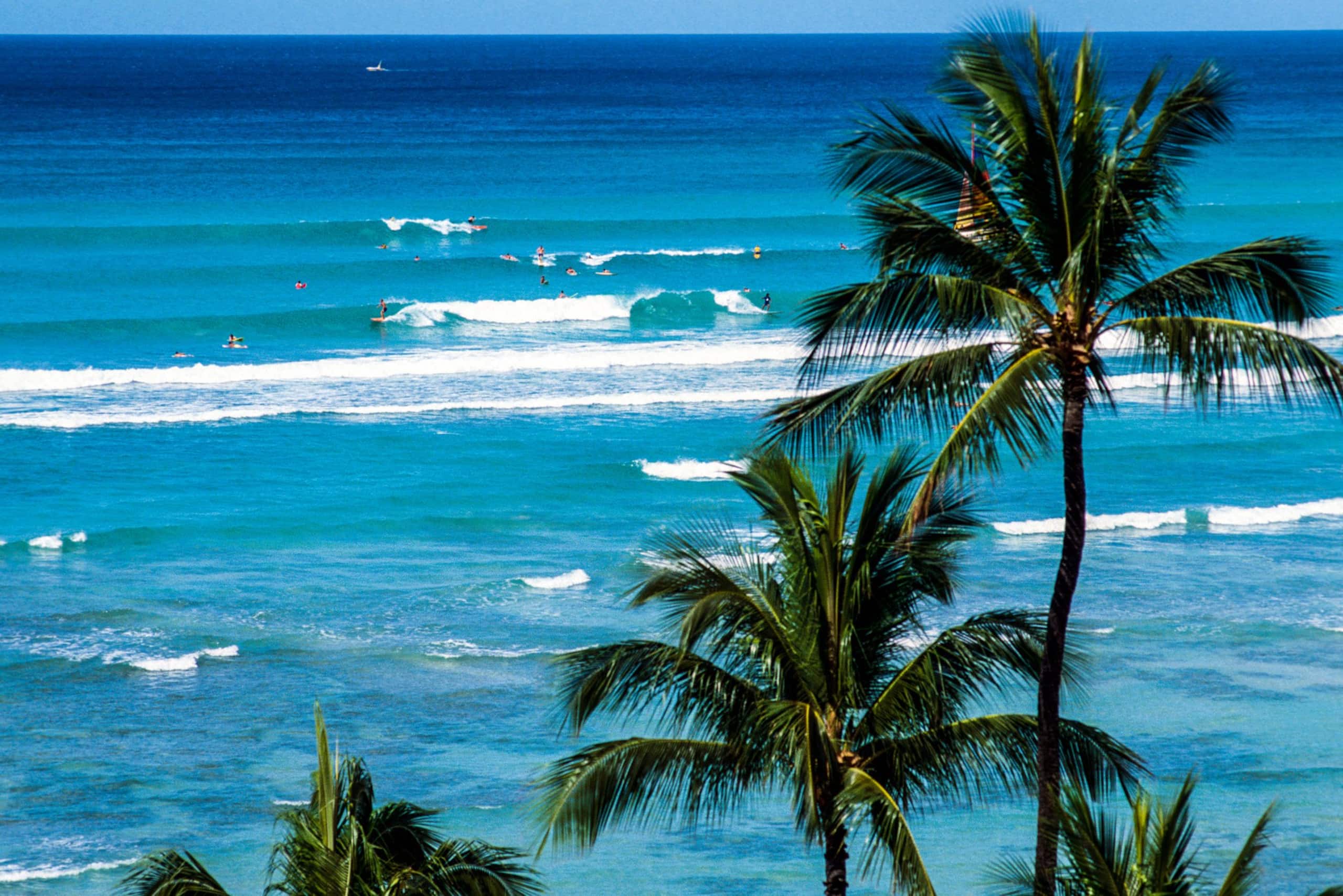 Condo in Honolulu · ★4.68 · 1 bedroom · 2 beds · 1 shared bath - Image 41