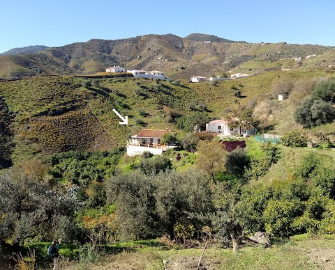 Country house among avocados and vineyards (Malaga)