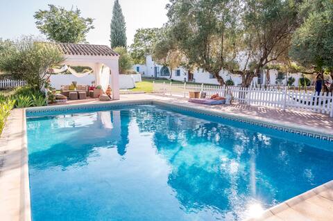 Cabin with pool among olive trees.