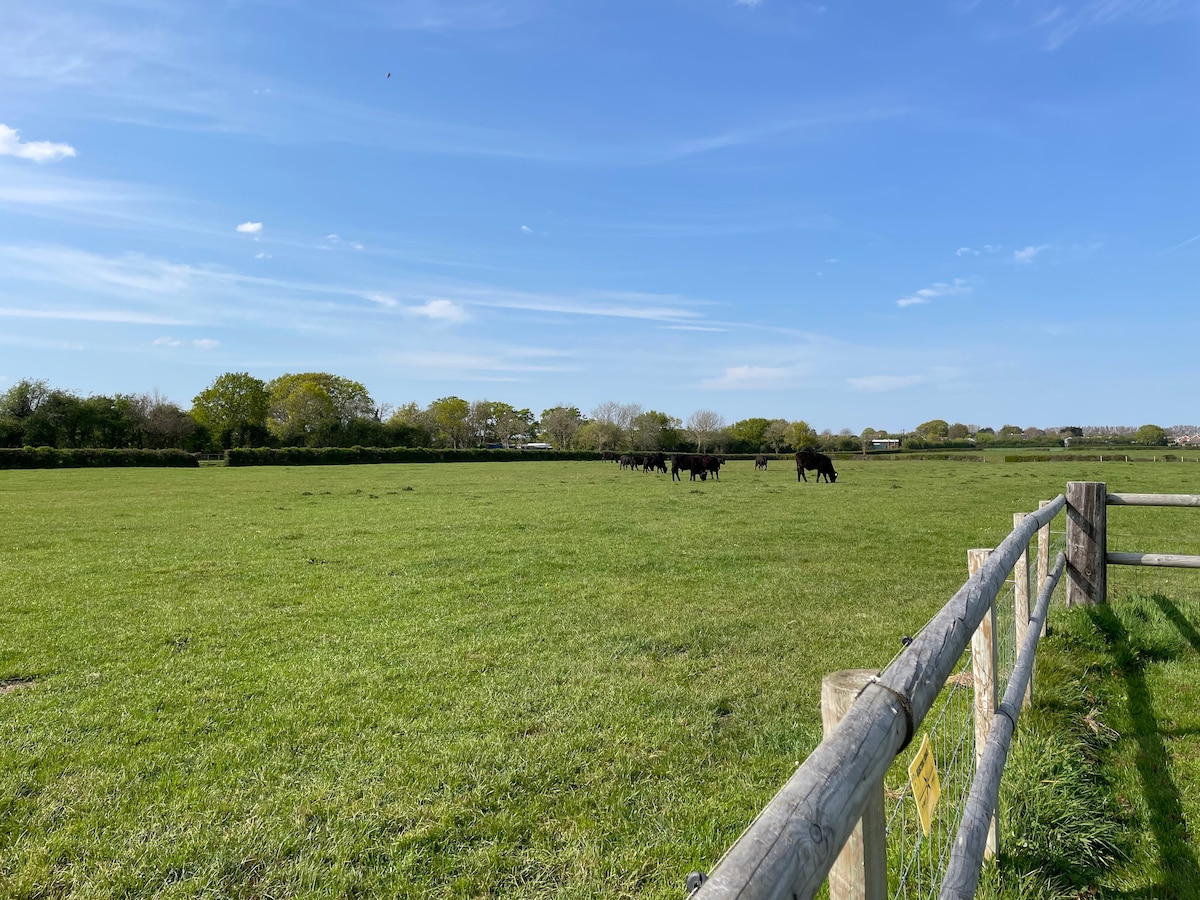 A lush green field stretches under a clear blue sky, with a wooden fence running along one side. A small herd of black cattle grazes peacefully in the distance, surrounded by trees and hedges that mark the field's perimeter.