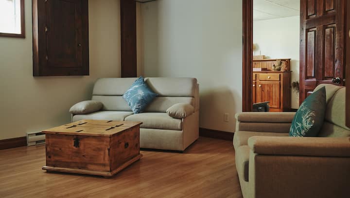 Living room in the basement with double sofa bed