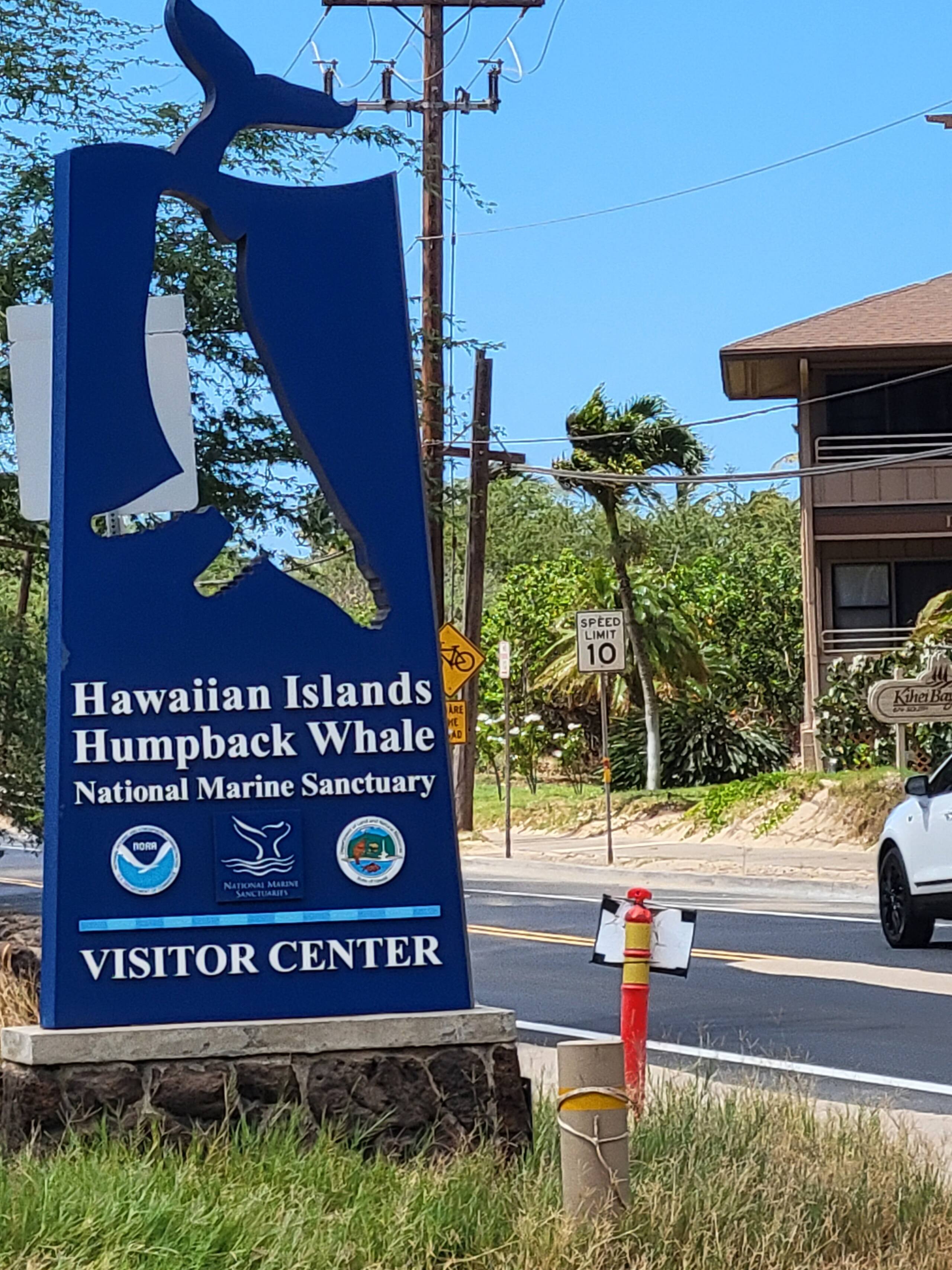 Condo in Kihei · ★4.96 · 1 bedroom · 2 beds · 1 shared bath - Image 32
