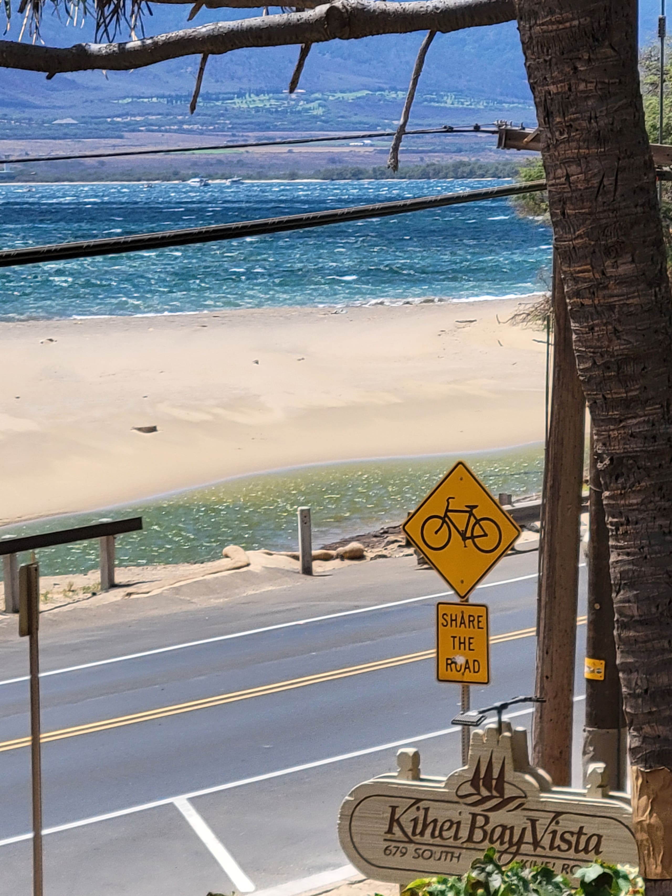 Condo in Kihei · ★4.96 · 1 bedroom · 2 beds · 1 shared bath - Image 11