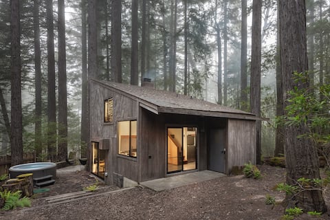 Mini-Mod #3 at The Sea Ranch.