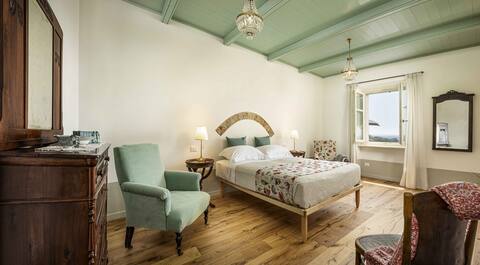 Three-room apartment1 in ancient country villa with vineyards