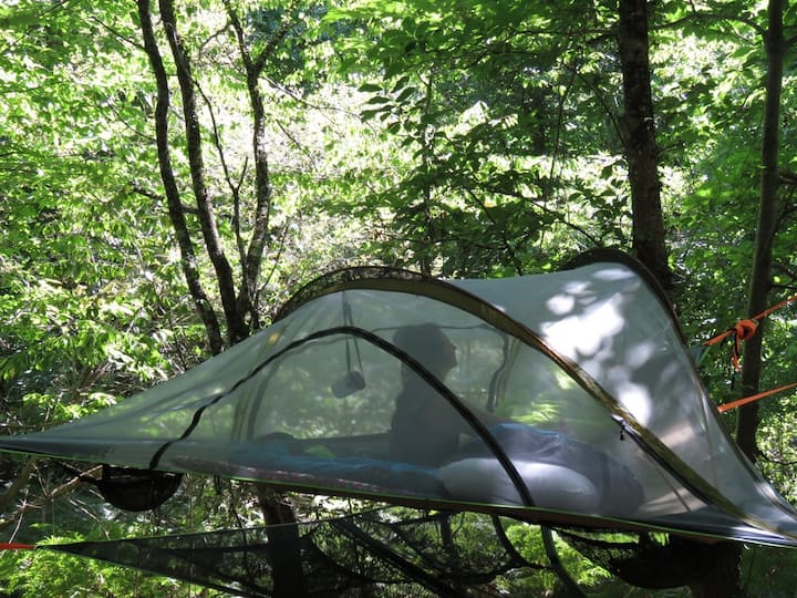 tent suspended in the heart of the forest in SainteCroixVolvestre