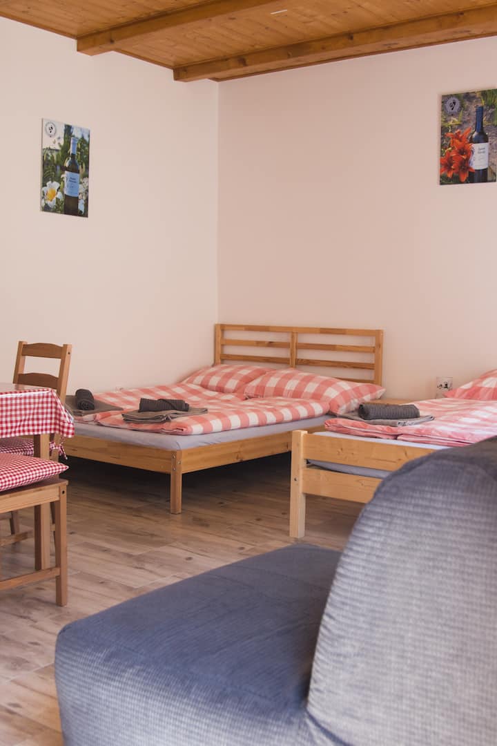 Apartmán 1