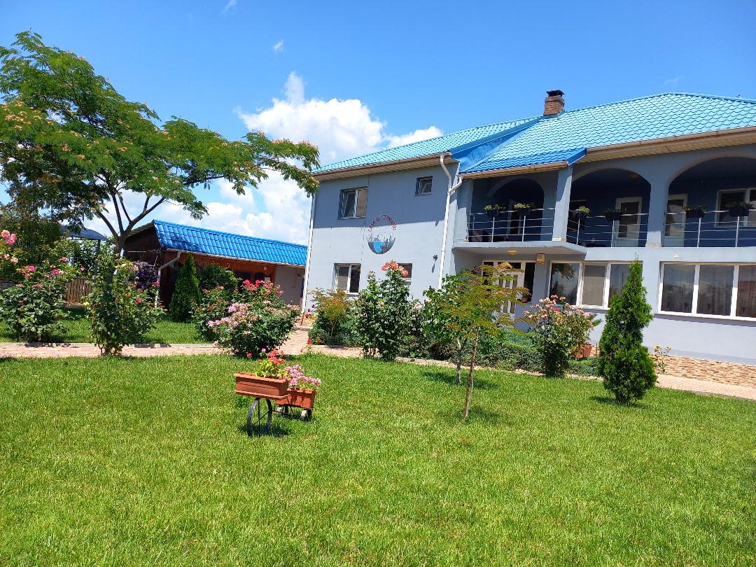 A two-story house with a blue roof is set among a lush green lawn, dotted with colorful rose bushes. A wooden cart with flowers adds charm to the garden, and a patio on the upper level provides outdoor seating options. Tall trees frame the area.