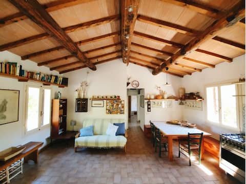 Airbnb con migliori performance: ELBAdAMARE | PERGOLA House a Capoliveri