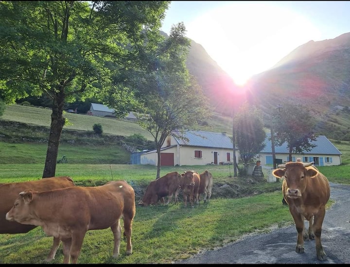 Gîte "Chez Coulet" Face Au Cirque De Troumouse. - Gavarnie
