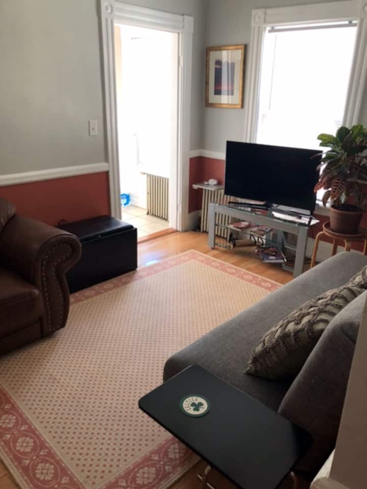 Sunny 3 Bed. Bu Bc Harvard Boston Landing&hospit. - Cambridge, MA