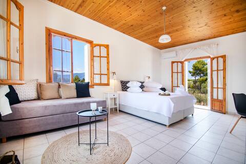 SeeSea Trikeri apartment No.2