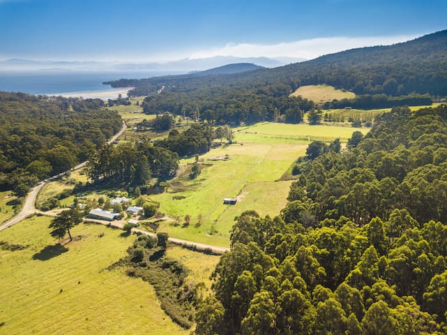 Peaceful, comfy farmhouse surrounded by nature