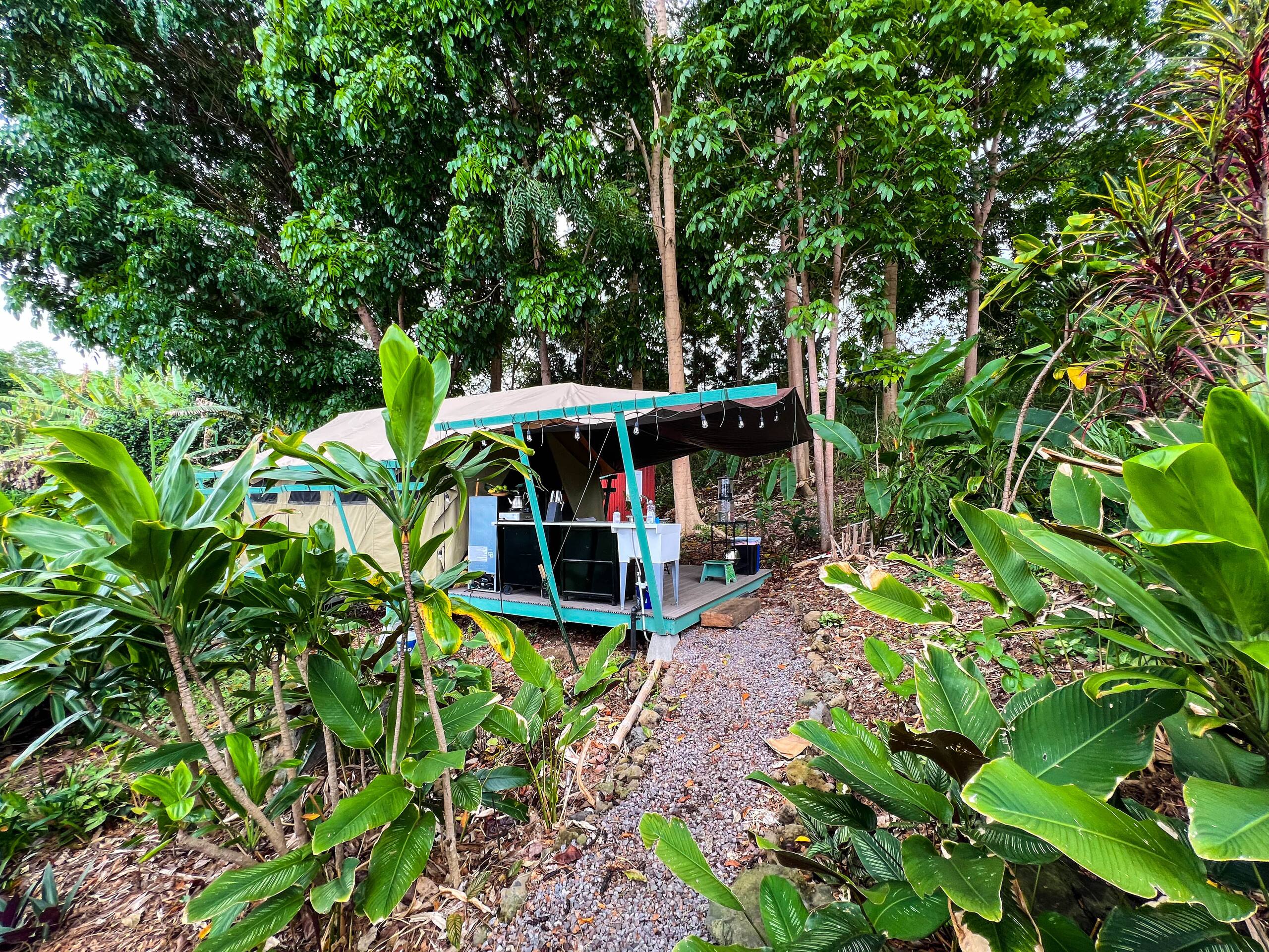 Unplug and Reset: Jungle Canopy among the trees - Photo 6
