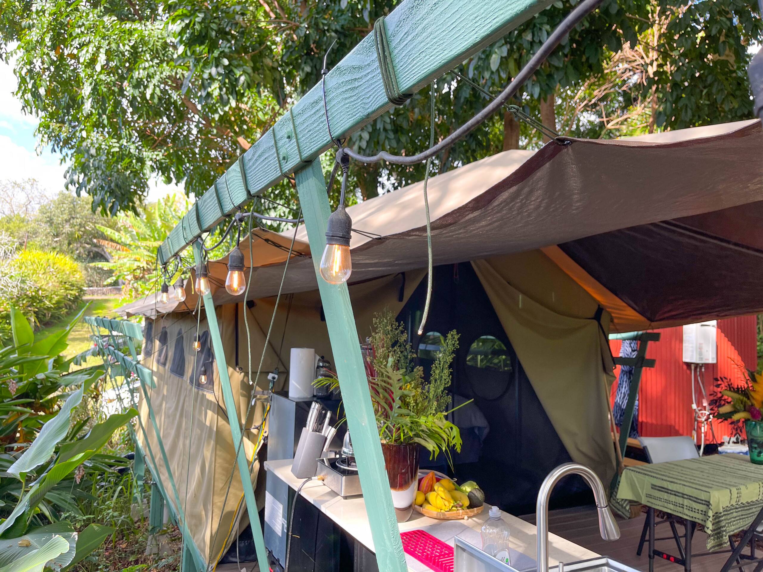 Unplug and Reset: Jungle Canopy among the trees - Photo 9