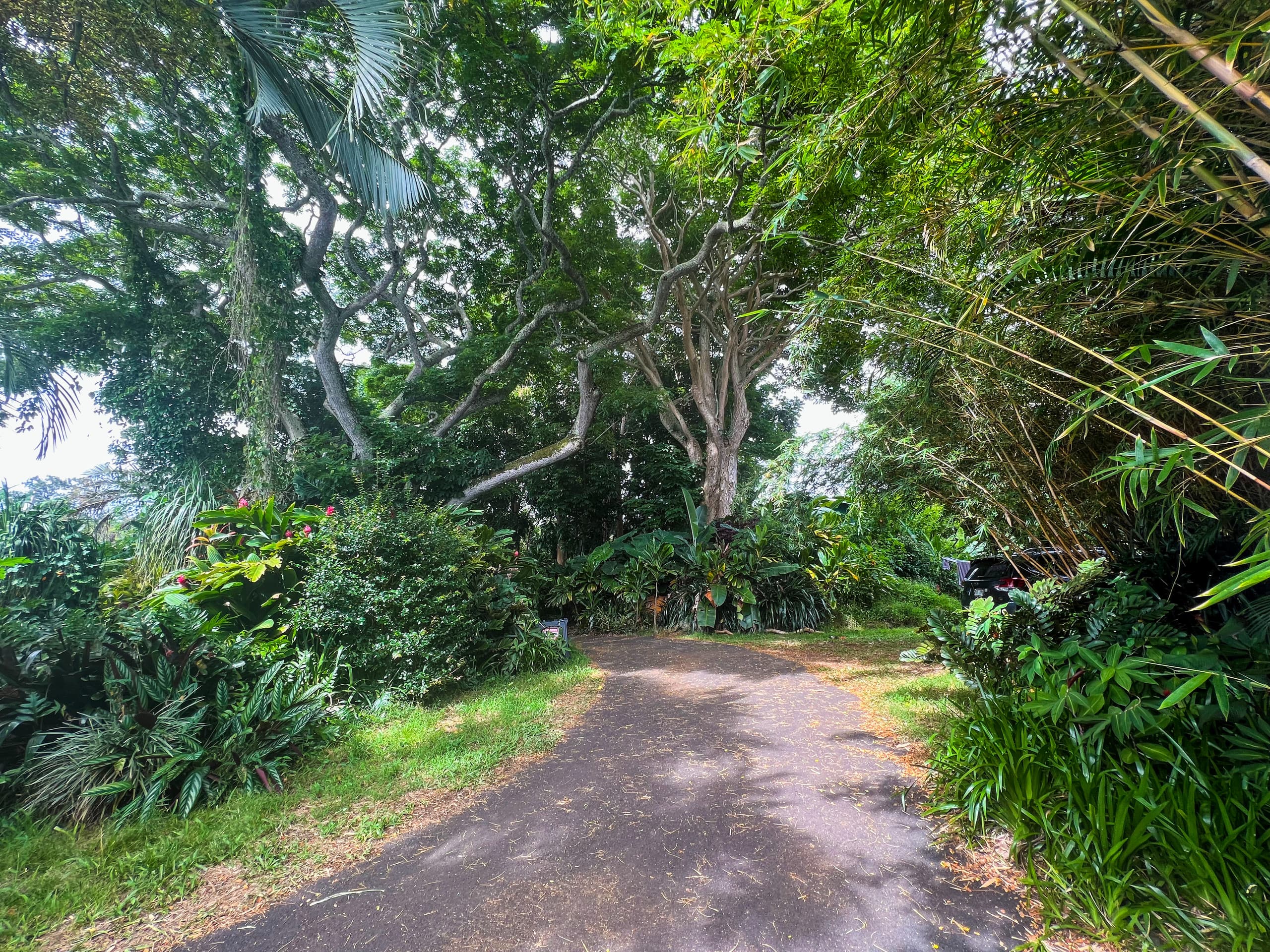 Unplug and Reset: Jungle Canopy among the trees - Photo 17