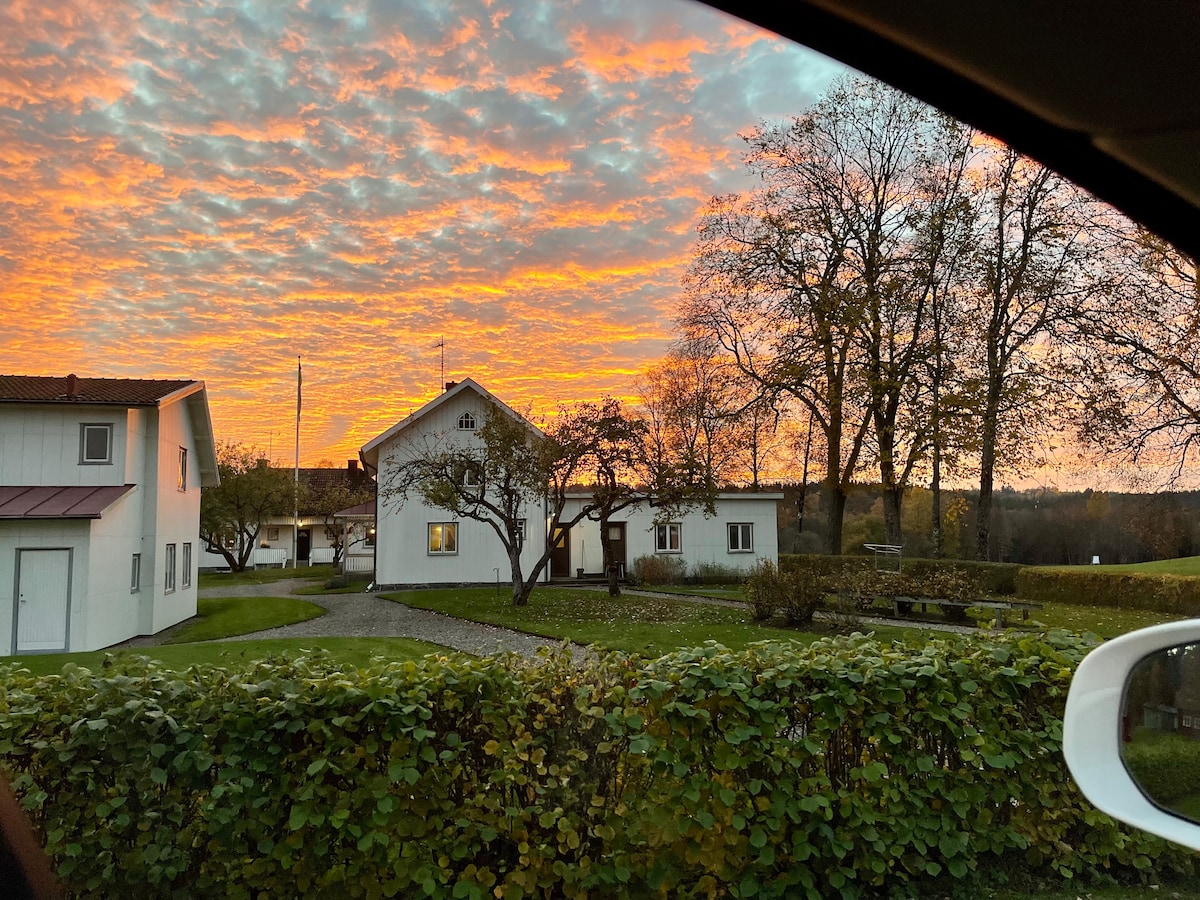 The image captures a serene landscape at sunset, featuring white buildings surrounded by lush green hedges. The sky is filled with vibrant orange and pink hues, and trees are seen in the background, creating a peaceful atmosphere. A gravel pathway leads towards the buildings.