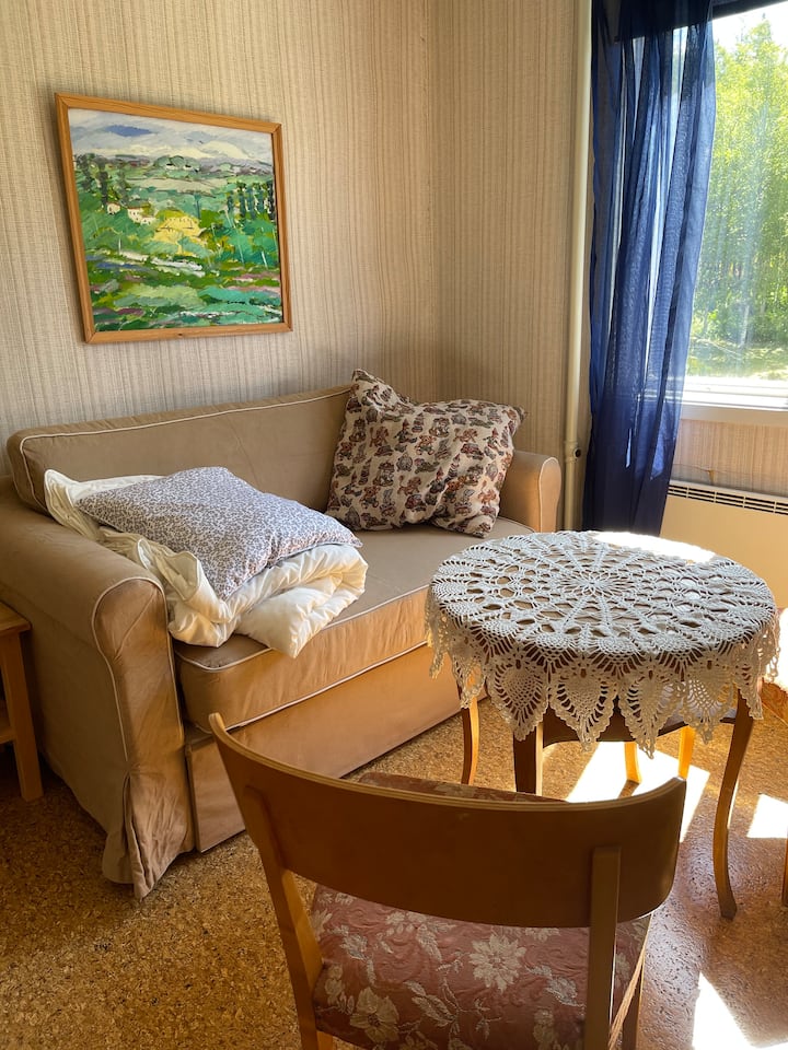 Sofá cama en el dormitorio adicional.