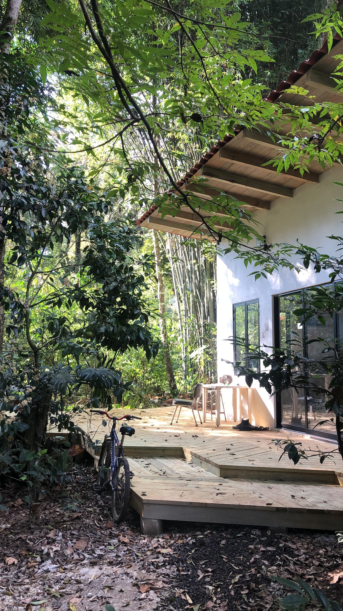 A wooden deck is surrounded by lush greenery, showcasing a blend of trees and underbrush. Nearby, a bicycle rests against the edge of the deck. Large windows reflect the natural light, enhancing the connection with the forest environment.