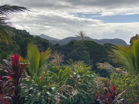 Lilah Blue-Entire Home Rustic Rainforest Private