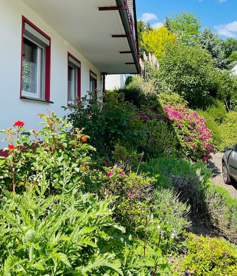 Apartment for business trips and vacations in the countryside