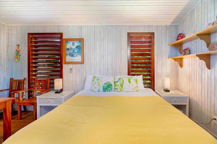 Studio ya Nest ya Ndege 