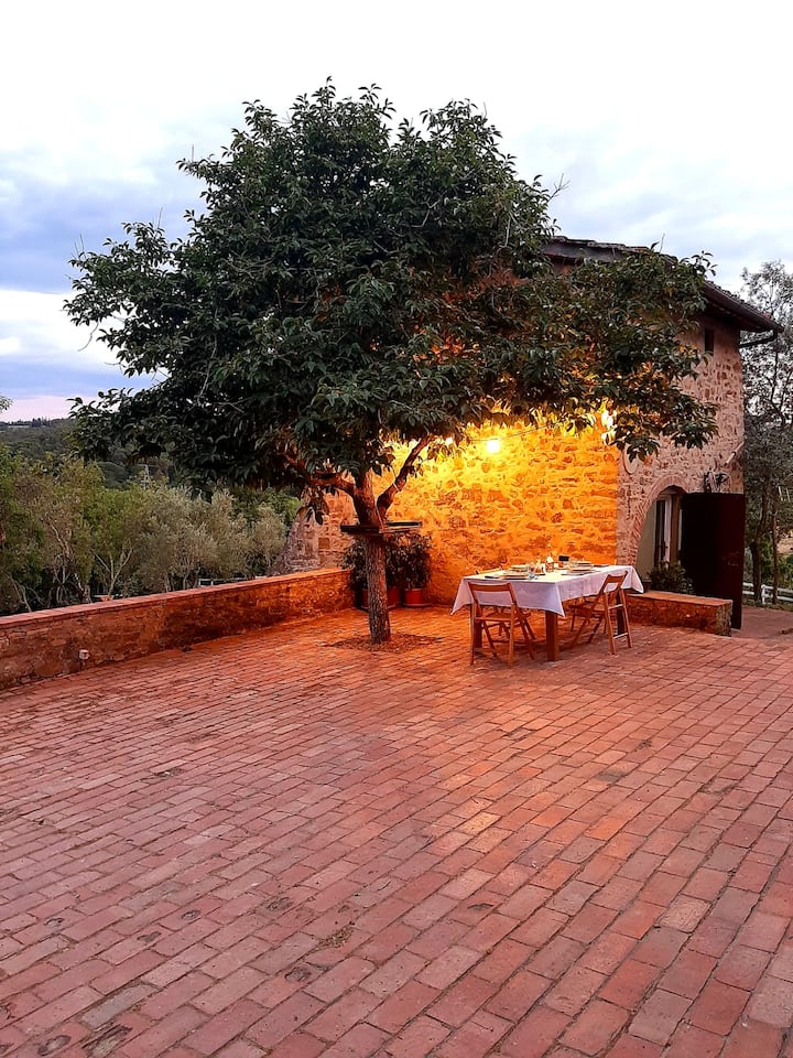 Country Home In The Chiantishire Close To Florence - Impruneta