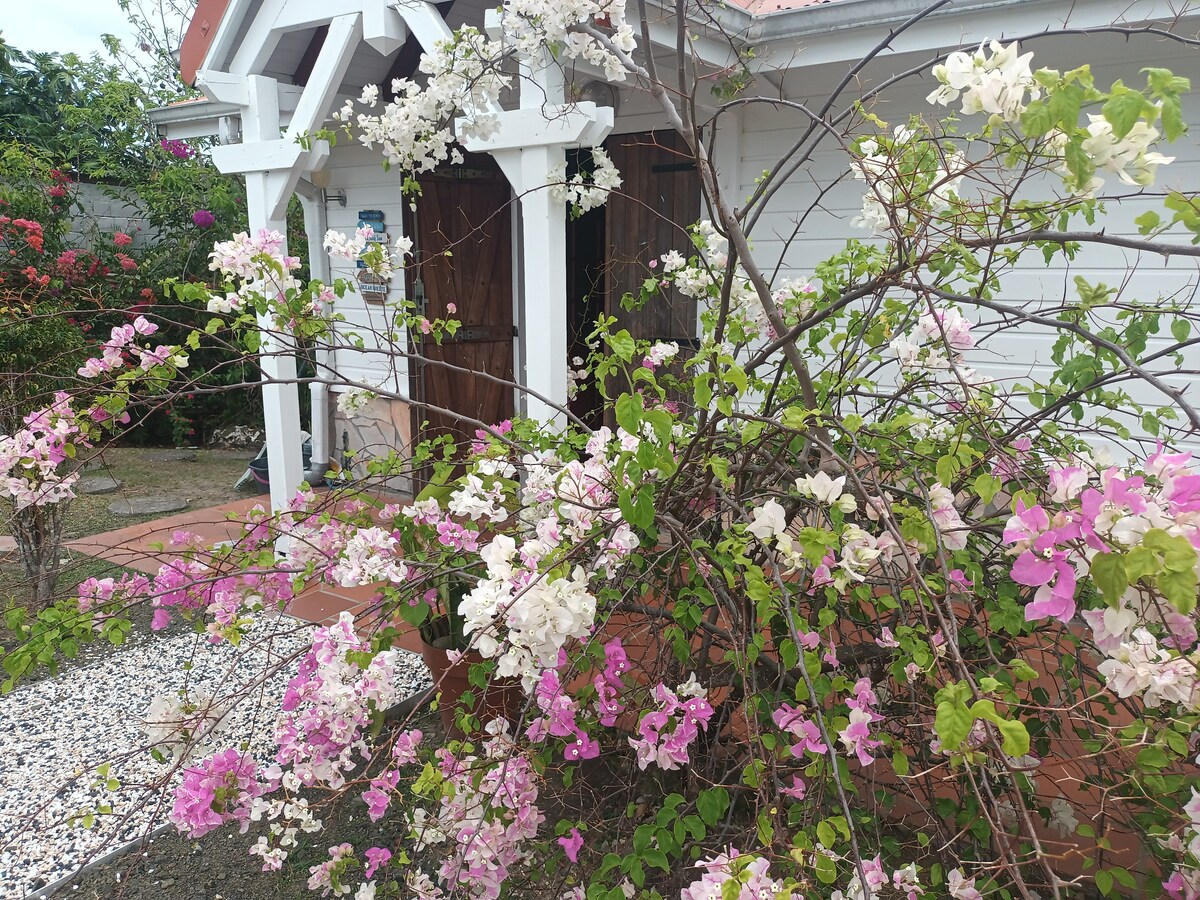 A vibrant display of bougainvillea creates an inviting entrance. The branches are filled with clusters of pink and white flowers, contrasting against a white house and rustic wooden door. The pathway is bordered by pebbles, completing the tranquil aesthetic.