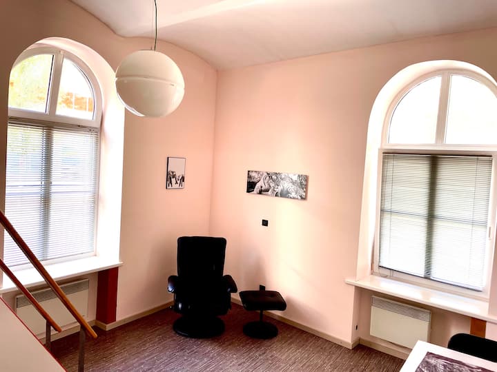 Cosy Studio In City Center Near The Dragon Bridge - Liubliana