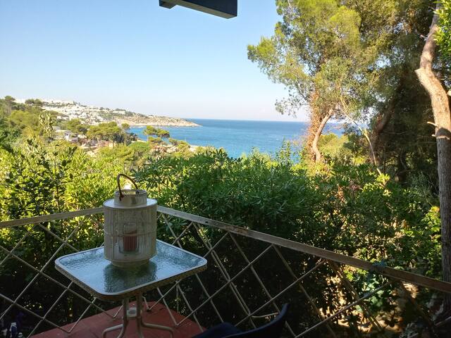 La Cala on Acquaviva gallery image 2