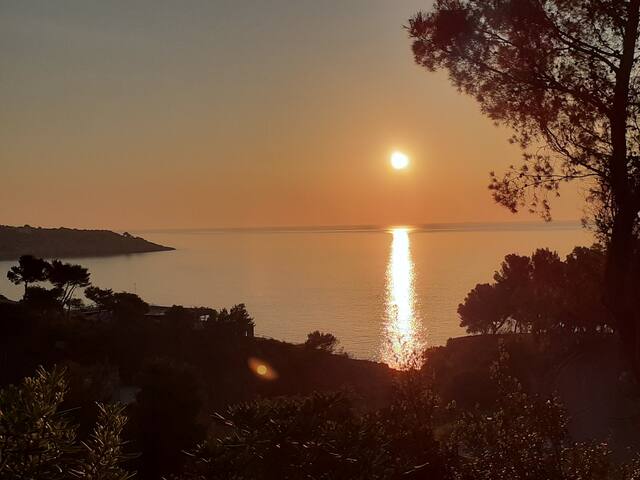 La Cala on Acquaviva gallery image 5