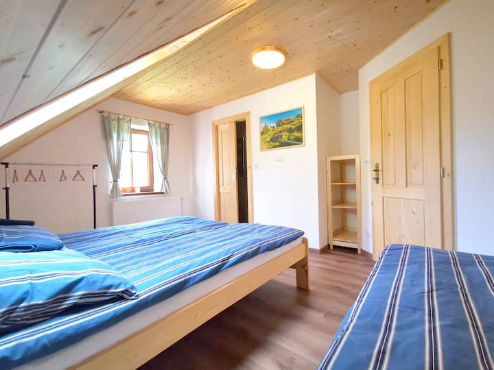 Спалня Инвалидна количка със самостоятелна баня и тоалетна