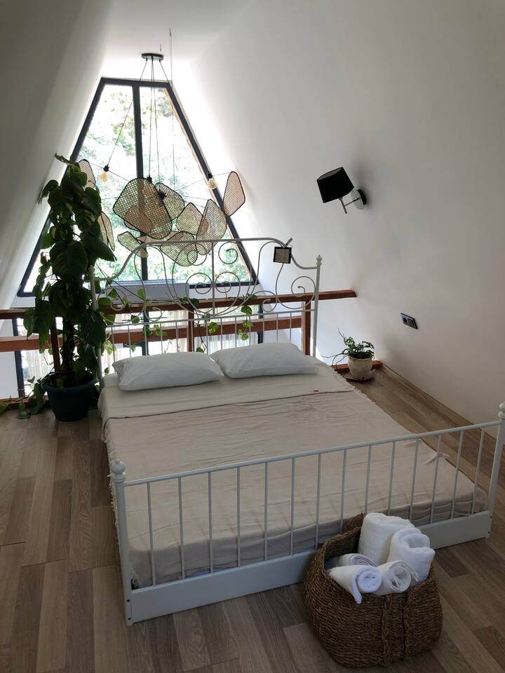 Habitación 1