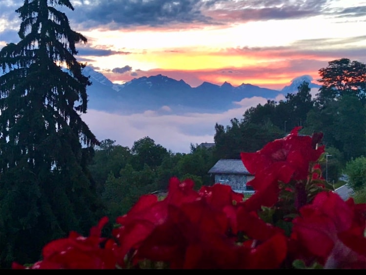 A vibrant display of red flowers is visible in the foreground, with a dramatic sunset backdrop. Mountains and clouds are seen in the distance, creating a serene landscape that highlights the natural beauty of the surroundings.