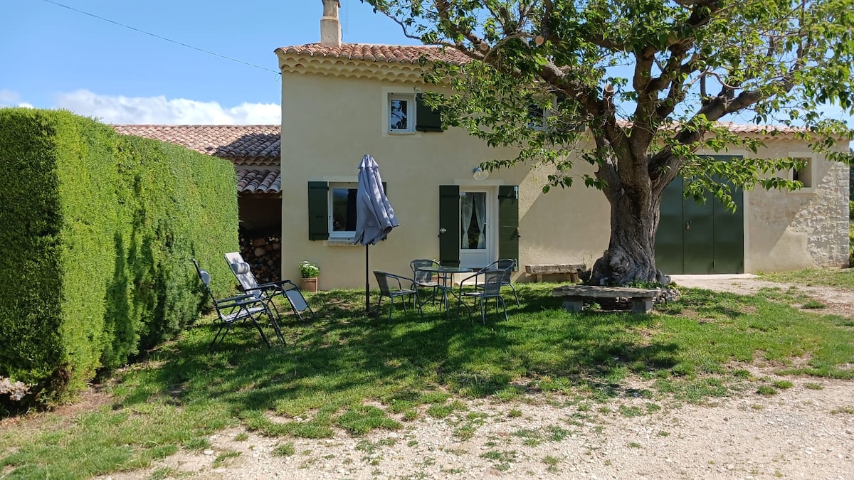 A charming exterior view shows a two-story house with green shutters, surrounded by lush greenery. A stone table with metal chairs and a sunshade is visible on a grassy area, providing a serene space for outdoor relaxation.