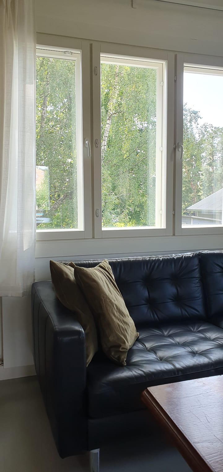 Yellow Single Family House - Turku