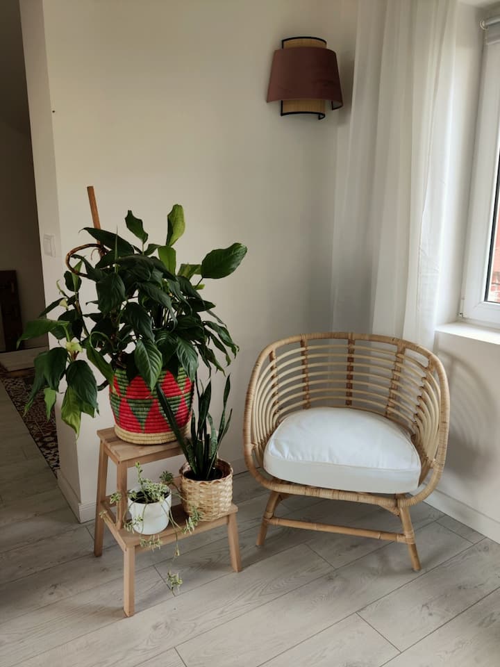 Vrmdza Apartment With Huge Garden - Lukovo