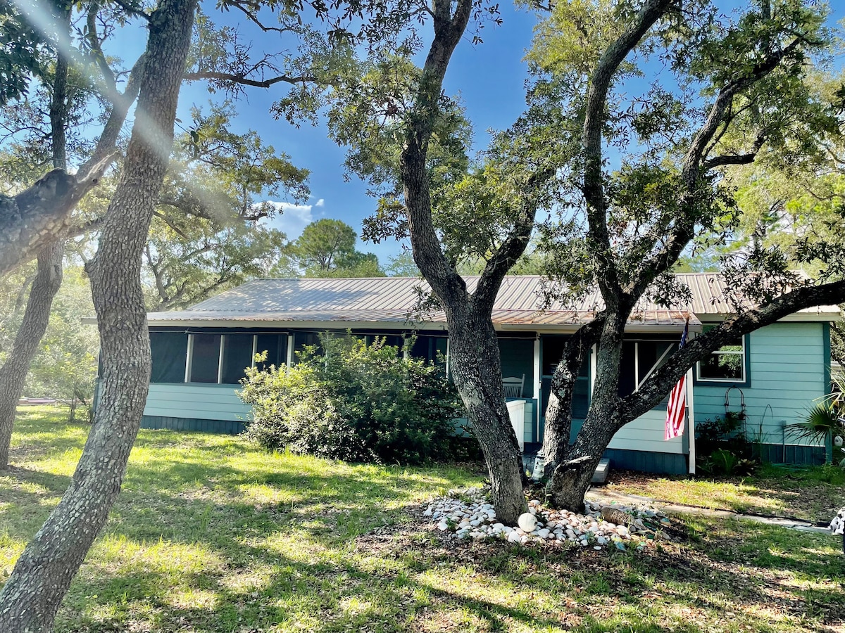 A beach cottage is surrounded by trees and greenery, featuring a charming exterior with a light blue facade and a metal roof. A large screened-in porch is visible, while a stone pathway leads to a garden area adorned with shells.